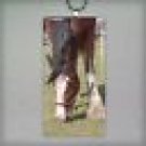 Clydesdale Grazing Rectangular glass Pendant