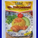 INDIAN SPICY CHICKEN-IN-RICE SEASONING MIX - USA SELLER