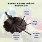 Scallop Shell w Bird Small Bird Feeder Cast Iron Outdoor