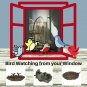 The Crabby Nook Small Bird Feeder Cast Iron Lily Leaf with Frog or Ashtray for Cigars Cigarettes