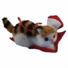 Purrfect Brown Kitten In Santa Hat Hanging Holiday Ornament Hallmark