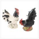 Rooster and Hen shaker set     12028