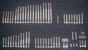 Bridgestone 350 GTO GTR  Stainless engine bolt set