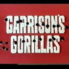 Garrison's Gorillas Complete Series Definitive Edition DVDs -Region 0!