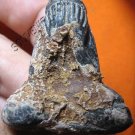 0522-THAI BUDDHIST AMULET CLOSE EYE PHA-PIT-TAH BANGPAI