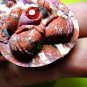 6871-THAI REAL AMULET FAST RICH MONEY PIDTA CLOSED EYE SPIDER 2 TAKUD LP KOON MX