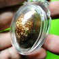 9863-THAI AMULET SACRED SHELL BEA-KAE STRONG PROTECTION SAFTY LUCKY LP DUM 2009