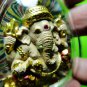 6029-THAI REAL AMULET PIKANET ELEPHANT GOD SUCCESS RAINBOW BROWN COLOR LP PAIR
