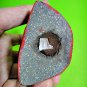 7364-THAILAND REAL AMULET GUMAN BABY DOLL CATCH MONEY RICH LP SANEYJAN HANDMADE