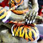 6205-THAI REAL AMULET STATUE LERSRI TIGER FACE MASTER PAINT EDITION LP NAEN 2012