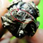 9768-REAL THAI AMULET TALISMAN TAKOR BALL OLD BRONZE 3 MONTH BLESSING LP KALONG
