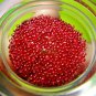 9833-REAL BUDDHA AMULET THAI SARIRA RELIC HOLY SACRED LUCKY BEAD STUPA RED BLOOD