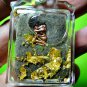 2244-THAI REAL AMULET DRAWING PENDANT HORSE SEX LADY CHARMING ATTRACT SEX LP ROJ