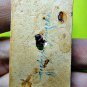 8179-SOMDEJ OLD CLAY BUSINESS RICH WEALTH TABLET AMULET THAI CHARM REAL LP UPP