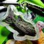 9806-REAL THAI BRONZE AMULET FIGHTING FISH BITE MONEY ATTRACT RICH POWER LP NOUM