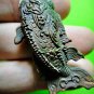 9806-REAL THAI BRONZE AMULET FIGHTING FISH BITE MONEY ATTRACT RICH POWER LP NOUM