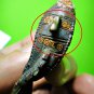 9806-REAL THAI BRONZE AMULET FIGHTING FISH BITE MONEY ATTRACT RICH POWER LP NOUM