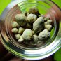 1319-REAL AMULET THAI BUDDHA SARIRA RELIC HOLY SACRED BEAD IN STUPA CASKET STONE