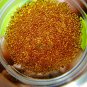 0117-REAL AMULET THAI SARIRA RELIC HOLY SACRED NATURE CRYSTAL BEAD STUPA ORANGE