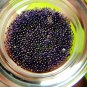 6893-REAL AMULET THAI SARIRA RELIC STONE HOLY SACRED BEAD STUPA VIOLET PURPLE