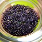 6893-REAL AMULET THAI SARIRA RELIC STONE HOLY SACRED BEAD STUPA VIOLET PURPLE