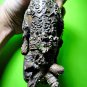 9440-REAL THAI AMULET HOLY BUFFALO COW PROTECTION GHOST BRONZE STATUE LP KALONG