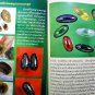 0150-REAL NAGA EYE GEM STONE LEKLAI AMULET RIVER CAVE GREEN FANG MONK BLESS 300G