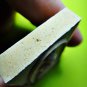 1757-AUTHENTIC THAI AMULET WEALTH RICH MONEY LUCKY SOMDEJ TABLET LP PAIR 8 PAN