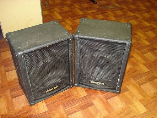 Kustom KSC 10 High Performance Speaker Pair KSC10