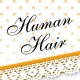 Human Hair
