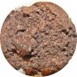 Dr. Pepper Cake (petit) ♥ Darling Girl Cosmetics Eye Shadow