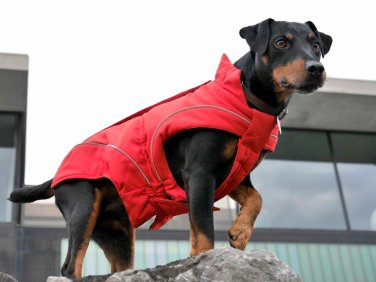 Dog Winter Coat w/ Fleece Lining Red 12" (S) by DogBite