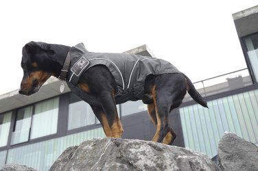 Dog Winter Jacket w/ Fleece Lining Black (L) 19-3/8"
