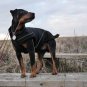 Dog Soft-Shell Winter Jacket w/ Fleece Lining Special Edition Color Black (M) 13-3/4 inch - 35cm