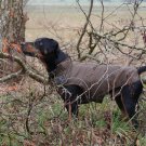 Warm Fleece Winter Jacket for Dogs, (3XL) 25", Brown