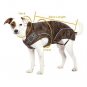 Warm Dog Winter Jacket w/ Fleece Lining, (L) 19-3/8" Red
