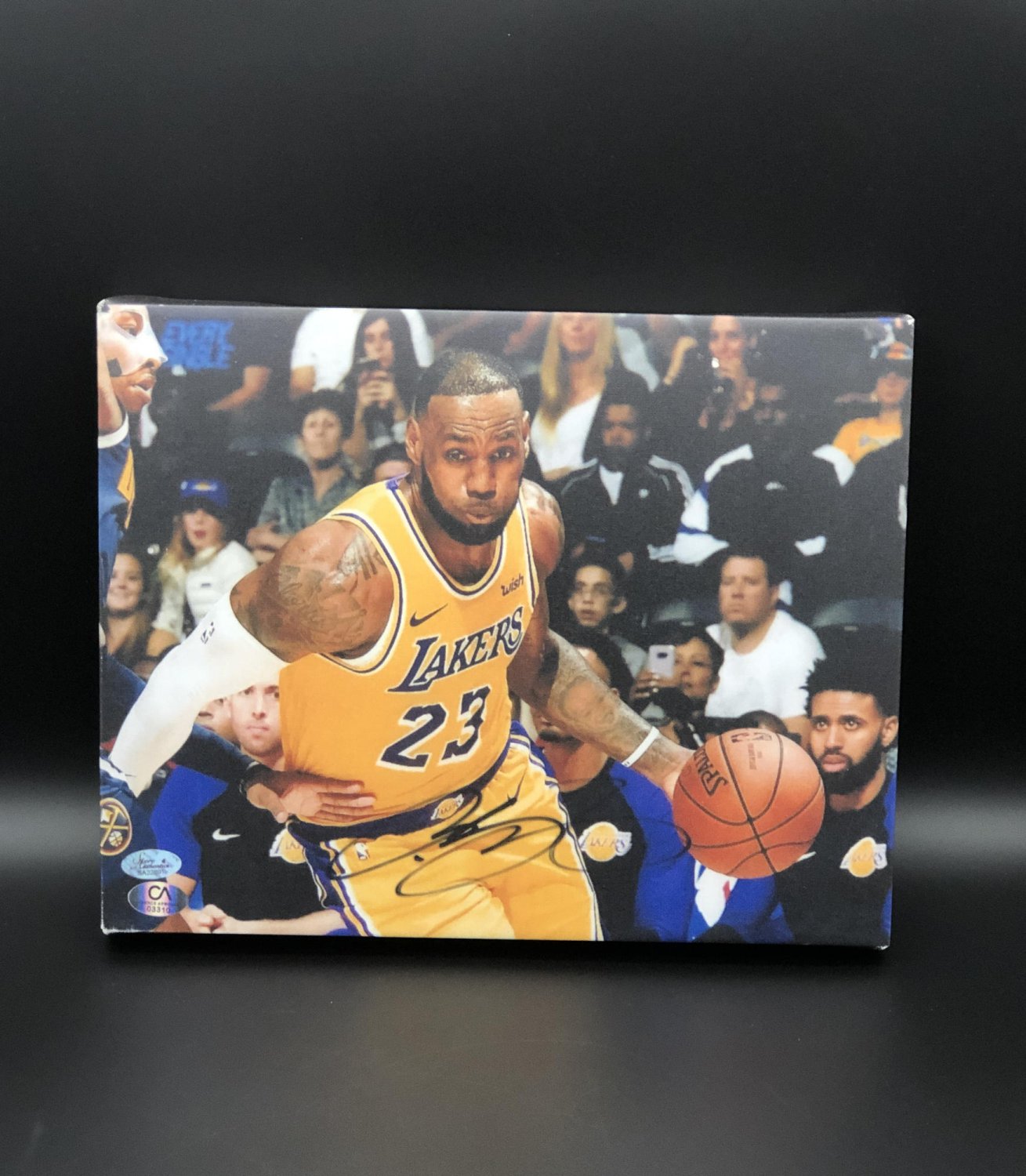 autographed lebron