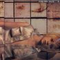 SILENT HILL 3 ORIGINAL SOUNDTRACK MUSIC CD