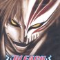 BLEACH PART 10 [3-DVD]