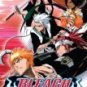 BLEACH PART 4 [3 DVD]