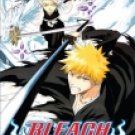 BLEACH PART 5 [3 DVD]