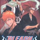 BLEACH PART 6 [3 DVD]