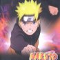 NARUTO TV SERIES PART 11 (SHIPPUDDEN PART 2)