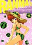 RANMA 1/2 TV PART 3 [6 DVD]