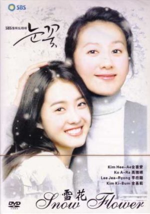 SNOW FLOWER (8-DVD)