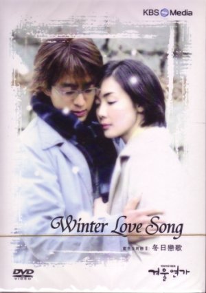 WINTER LOVE SONG / WINTER SONATA  (11-DVD)