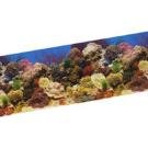 Vibran - sea Background 19.5 In X 50ft Salt Water