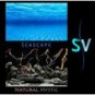 24" Seascape/natural Mystic Background 50ft