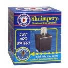 Brine Shrimp Shrimpery
