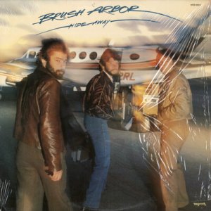 BRUSH ARBOR--HIDE AWAY Vinyl LP